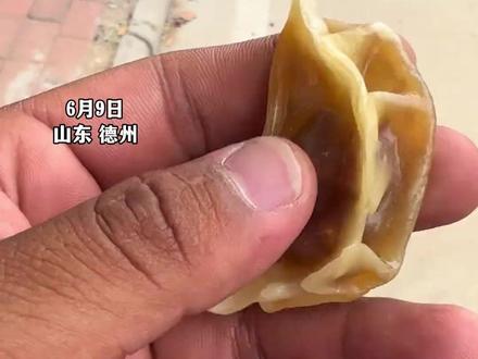 万物皆可盘大哥把猪肉大葱馅的饺子盘到玉化#万物皆可盘