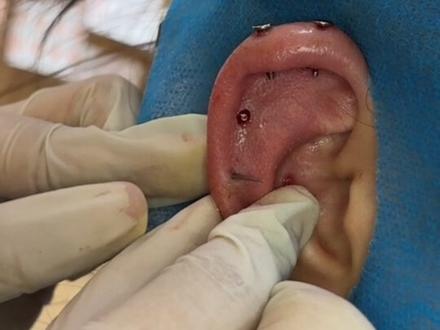 解答一下所有的疑问,不管是所有的红骨,只要先换上适合你的材质,再去处理,很多人会对黄金白银铁钢过多过少的过min 所以就会造成你们所说的,怎么会一直都不好#禁止废话 #实用冷知识 #每天分享科普知识