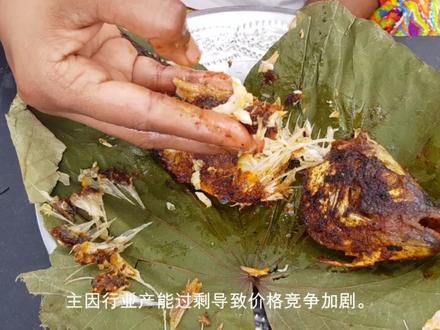 解读分析一家公司 中广核技000881