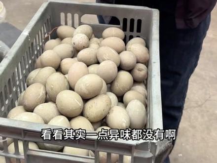福建永春非遗美食,童子尿煮鸭蛋,好吃到停不下来 #福建美食