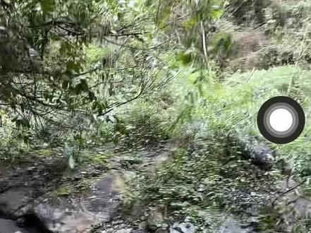 林北带主播去挖山药的全过程