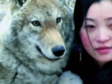 狼王格林的野性回归之路!重返狼群,太震撼了! 一段跨越物种的深情羁绊。
李微漪将一只失去父母的小狼崽带回城市抚养,
却最终选择让它重返狼群,回归自由。
这不仅是小狼格林的成长史,
更是一场关于爱、自由与野性的深刻思考。
看格林如何在人类世界与荒野之间找到属于自己的位置,
感受那份震撼人心的自然力量!
#重返狼群 #格林 #李微漪 #狼王 #动物世界