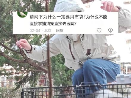 转移布袋怎么用 #流浪猫 #流浪猫救助 #绝育