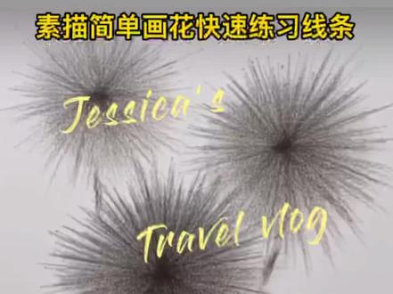 素描简单画花,快速练习线条方式.你学会了吗?#画画教程 #零基础学画画教程 #零基础学画画 #简笔画教程 #画画使我快乐 #零基础学画画教 #一起学画画 #抖出我的艺术