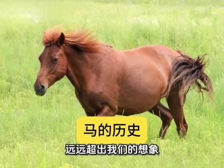 马在古代的地位有多高?#历史#马年大吉