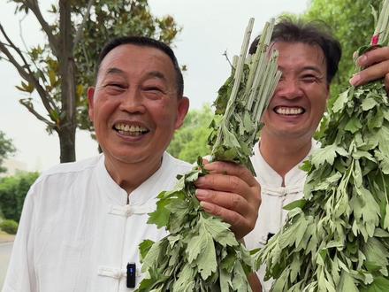 端午节快到了,你家艾草挂对了吗#传统文化 #端午挂艾草 #端午安康