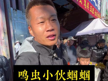 小伙的蝈蝈拿冠军啦#蝈蝈 #摆摊