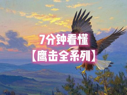 7分钟看懂鹰击全系列!