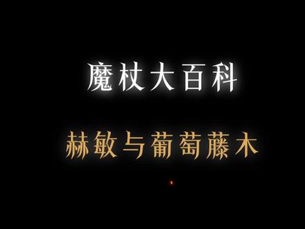 哈利波特=赫敏和她两个没用的男人#哈利波特 #二次元