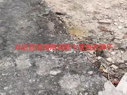 珠海凤凰山小滚石路线(2022-12-11)