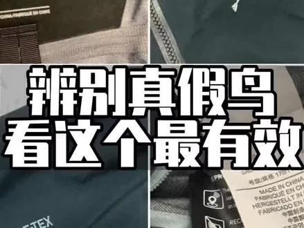 真鸟假鸟最简单的辨别方法#始祖鸟 #始祖鸟冲锋衣 #arcteryx #户外服装