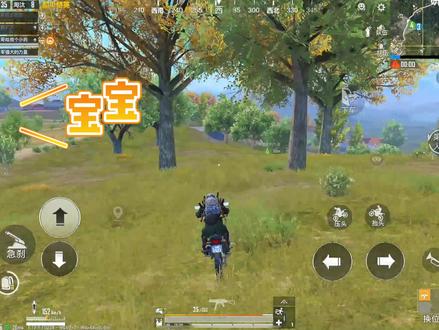 我也不想被撩啊,可是她叫我宝宝诶 #和平精英 #酱油叔叔