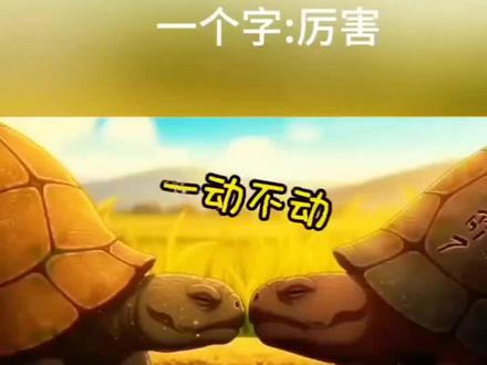 两只乌龟对峙,谁也不服输,笑死我了🐢🐢!#强烈推荐 #动画