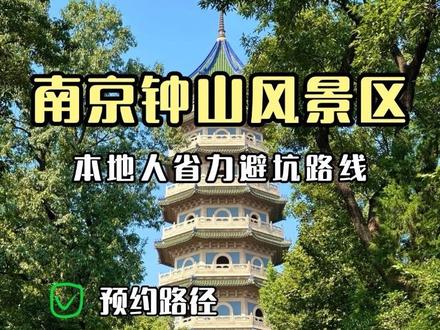 南京钟山风景区 本地人省力避坑路线 2026 南京钟山本地人私藏省力路线!避开人潮、少走冤枉路,地铁直达 + 观光车无缝衔接,一天高效打卡明孝陵、美龄宫、中山陵、音乐台、灵谷寺,保姆级避坑,新手老人小孩都适配,轻松拿捏金陵山水与民国风情!#南京风起金陵沉浸式喜剧 #南京旅游#南京去哪玩 #南京美食 #南京旅游攻略 @南京风起金陵