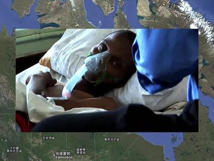 蛊王终于现身了,抗体在非洲被锁定 #热点新闻事件 #军事科普 #万万想不到 #国际局势 #新闻