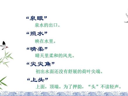 茂喵喵国学小课堂系列:小学生必备古诗详解016《小池》