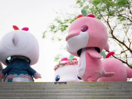 小鸡好,人也好,阴天坏 #大湾鸡 #可爱 #萌动奇迹 @广州杂技团 @文艺小跟班 @大湾鸡主理人