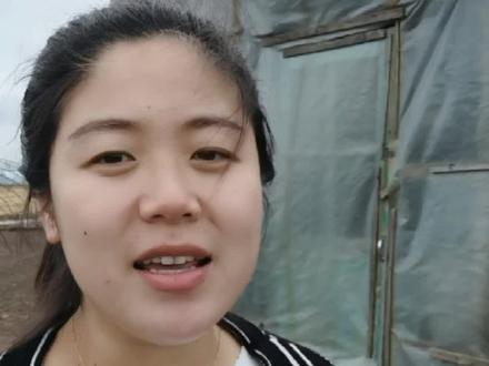 春雨贵如油,东北气温回暖,下雨的湿润感真舒服,但是南方的#回南天,确实挺吓人