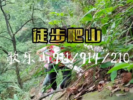 徒步爬山|歌乐山911/914/210环线,尽享徒手攀岩乐趣徒手攀岩。#户外 #vlog日常 #旅行推荐官 #传递正能量 #重庆 #人生感悟 #徒步路线推荐