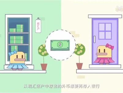 现汇和现钞 一分钟秒懂#科普一下 #每天学习一点点