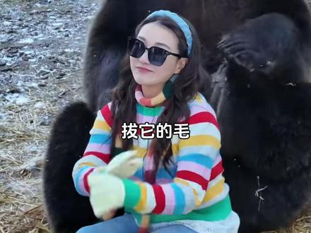 野外遇到熊不要怕,不一定咬人! #科普知识 #藏马熊