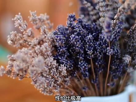 尼康镜头怎么选?适合摄影新手的3种方案#摄影 #摄影技巧 #摄影教学 #摄影器材 #摄影教程 #摄影师 #摄影摄像 #尼康 #尼康相机 #尼康镜头 #尼康微单 #微单