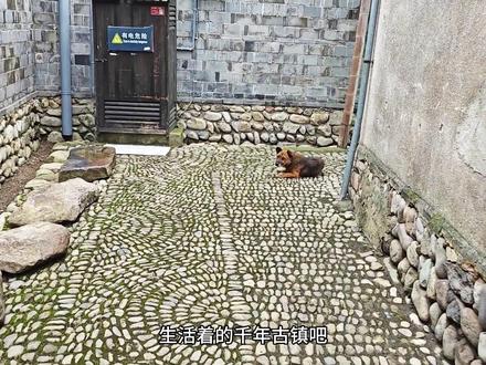 宁波还有一座生活着的千年古镇-前童古镇,位于徐霞客游记开篇地宁海#周末亲子游 #宁波#周末去哪儿#宁波好玩的地方推荐 #古村落风景