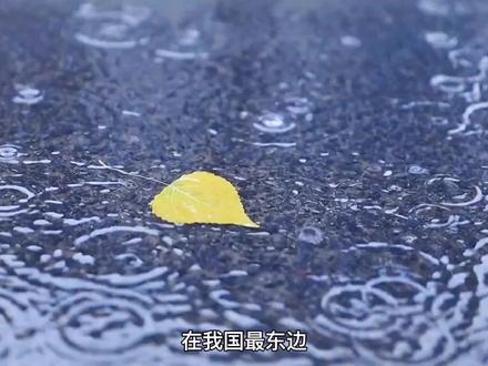 在我国最东边
有一种很常见的竹子-毛竹
在最初的几年#
毛竹的生长极其缓慢
四年时间仅仅会长三厘米
其他树木早已长成了参天大树
但它似乎还没什么成长
但从第五年开始
它会以每天30cm的速度疯狂生长
仅仅用了六周的时间就长到了15米
远远超过了普通树木的高度
其实在前四年
毛竹早已将根在土壤里延伸了数百平米
做人做事亦是如此
不要担心你此刻的付出得不到回报
因为这些付出都是为了扎根#情绪 #大自然