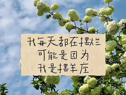 无所谓的巨蟹座#醒图创作者 #巨蟹座 #抽象 #十二星座 #星座谐音梗 星座谐音梗怎么制作 星座谐音梗巨蟹 星座谐音梗射手 星座谐音梗天称 星座谐音梗双鱼 星座谐音梗白羊 星座谐音梗双子 星座谐音梗双鱼