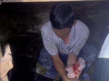 母牛半夜难产。 生产全过程#农村养牛人记录农村生活