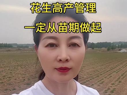 花生高产管理一定是从苗期开始,花生后期能开多少花能下多少针其实在苗期已经决定,所以做好苗期管理非常关键#花生高产全程模式化管理 #分享农业知识传播正能量 #三农种植服务技术 #抖音助农 #周庄农资
