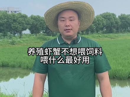 养小龙虾不想喂饲料,喂什么成本低效果好。#三农#支持三农扶持三农发展 #水产养殖#小龙虾养殖 #服务三农支持三农