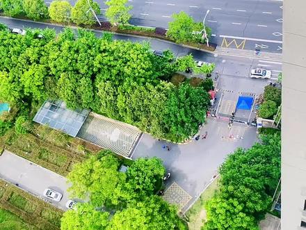 渴望芜湖早日解封,一定要清楚视频内容你才能明白怎么做!拿走不谢!#疫情下的城市 #祈祷疫情快点结束 #春天开阅季 #同城热点 #安徽芜湖