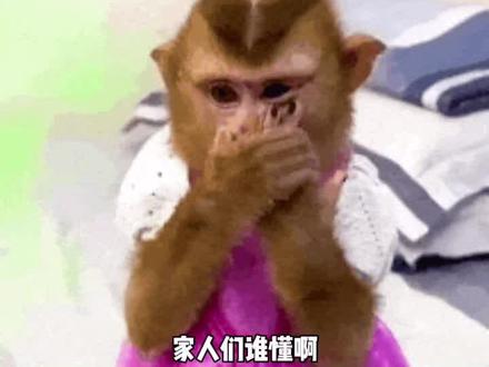 有了这份PDF,高考根本无需紧张! #抖音精选高考应援联盟#抖音精选#精选的高考应援太夯了#抖音精选已经是高考陪考版了#抖音精选高考最后100题