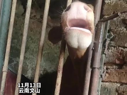 加速前进图片 58eaa2d3f9d44f35ac5c387984489b51~tplv-dy-resize-origshort-autoq-75:330.jpeg?x-expires=1984831200&x-signature=JBE20LVR3VIaoUm8rwngmL6ghGQ%3D&from=3213915784&s=PackSourceEnum_AWEME_DETAIL&se=false&sc=cover&biz_tag=pcweb_cover&l=021669471721443fdbddc02000402819042112f4000003099bf72