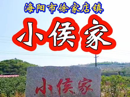 小侯家村隶属海阳市徐家店镇管辖,明万历年间(1573-1619年)吕姓建村,以姓命名为吕家疃,后吕姓迁走,侯姓从大侯家村迁此定居,以姓改称小侯家村。另一说,明万历年间,侯姓来此定居,初以姓命名为侯家村,后又有侯姓在其村南又建一村,且规模较大,称大侯家,为与相区别且村子较少,故改称小侯家村。本村原属山西头乡,2000年12月撤乡并镇后,现属徐家店镇管辖。2002年,全村有193户,520人,有侯,周,张,常等姓,其中人口较多的是侯姓。前几年拍郭城镇大侯家村时,又拍了小侯家,结果拍完后才知道小侯家村属于徐家店镇管辖!#海阳市徐家店镇小侯家村#关注三农传递正能量 #记住乡愁留住美好回忆
