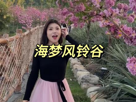 19.9畅玩一整天的早鸟票!元旦盛大开园#海梦风铃谷 #同安旅游 #旅行攻略 #元旦假期出行地推荐