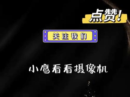小鹰看看APP,下载软件操作教程