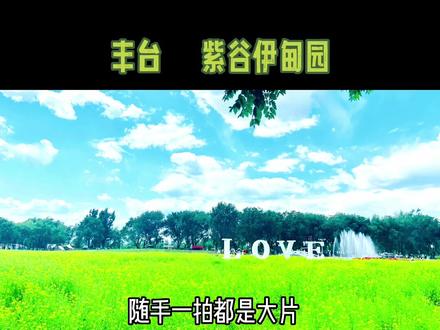 在北京丰台,又找到了一个能遛娃,看花海,还能搭帐篷野餐的好地方😄#北京周边游 #旅行大玩家 #亲子必去游乐场 #旅行推荐官 #遛娃好去处 #户外活动嗨起来 #一起享受大自然的美 #露营烧烤地点推荐 #带你看风景 #向日葵花海 #周末去哪玩 #景点打卡 #这个夏天浪起来 #亲子户外活动 #旅行大玩家