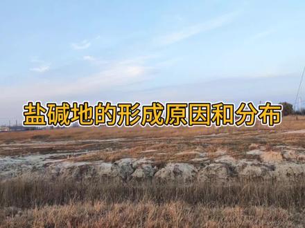 盐碱地的形成原因和分布#盐碱地 #盐碱地形成 #盐碱地形成原因有哪些 #土壤板结 #生态环境 #环境