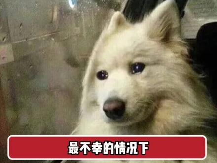 真有这种好事哪轮得到女人 #娱乐评论大赏