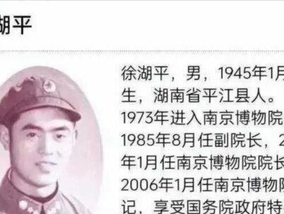 徐湖平夫妻被带走!红二代身份曝光,一家三口精密布局盗宝#正义的重要性