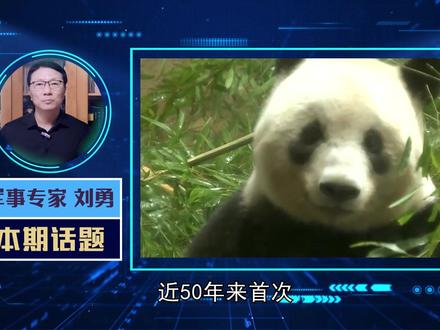 50年来首次,日本大熊猫将归零,日民众担心一种可能,日方回应 #硬核深度计划 #零基础看懂全球 #全球创作者计划 #青年创作者成长计划 #优质创作者伙伴计划
