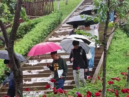 校园版瀑布来了#专升本 #滇池学院#云南高校