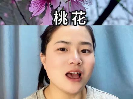 小区楼下的桃花#小学生作文 #夕林讲看图写话
