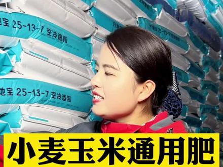 小麦和玉米都可以用的含量,年年都是爆品#肥料 #农资肥料 #农业种植