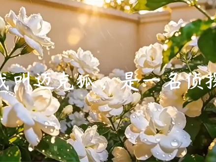 #迈西#迈克狐#西西娅 我去,磕艾迈的,你自己避雷吧