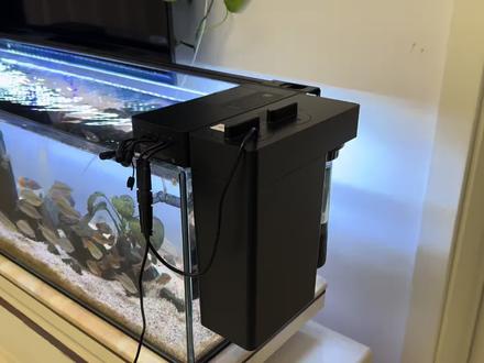普通鱼缸秒变智能鱼缸,你只需要这款当贝鱼缸过滤器 N1 800AI这一款超实用的智能鱼缸过滤器,解放双手,轻松养鱼