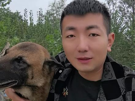 朋友们把你们的建议放在评论区,亮仔遵从你们建议!#忠犬马户