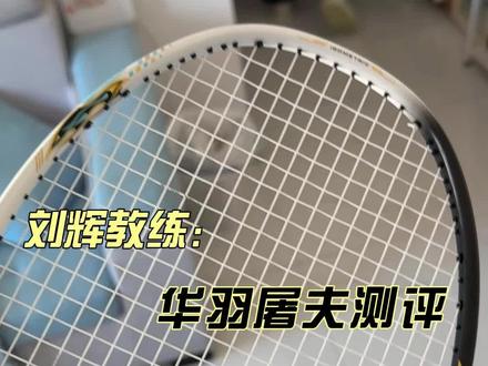 我也来锐评一下@刘辉羽毛球 #羽毛球🏸 #华羽屠夫 #刘辉羽毛球